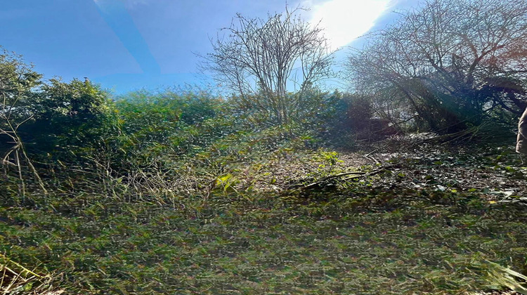 Ma-Cabane - Vente Terrain MARCQ-EN-BAROEUL, 1200 m²