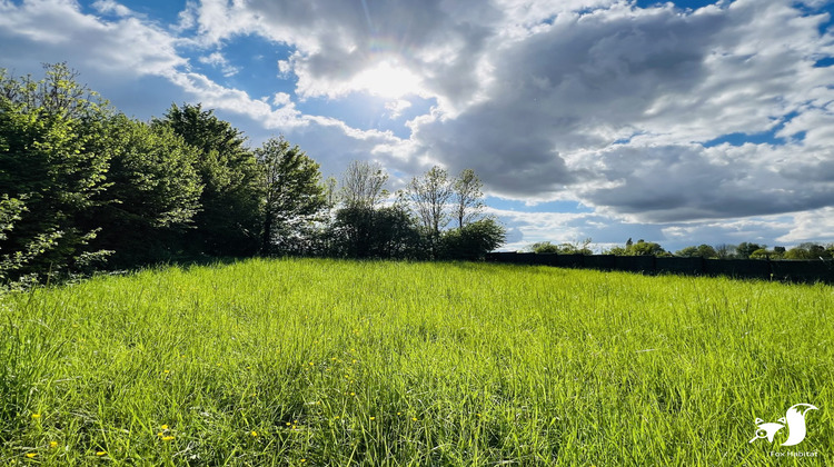 Ma-Cabane - Vente Terrain Maretz, 872 m²