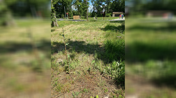 Ma-Cabane - Vente Terrain Margaux, 650 m²