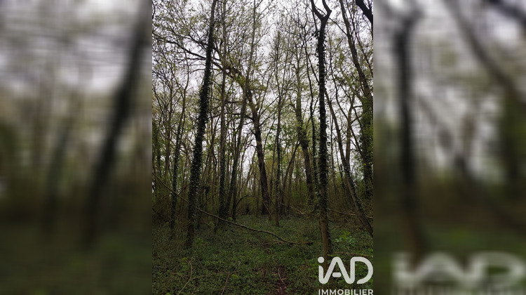 Ma-Cabane - Vente Terrain Marles en Brie, 7123 m²