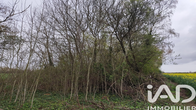 Ma-Cabane - Vente Terrain Marles en Brie, 7123 m²
