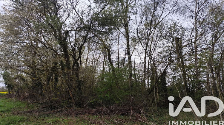 Ma-Cabane - Vente Terrain Marles en Brie, 7123 m²