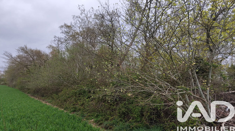 Ma-Cabane - Vente Terrain Marles en Brie, 7123 m²
