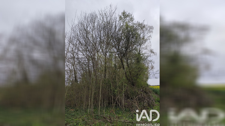Ma-Cabane - Vente Terrain Marles en Brie, 7123 m²