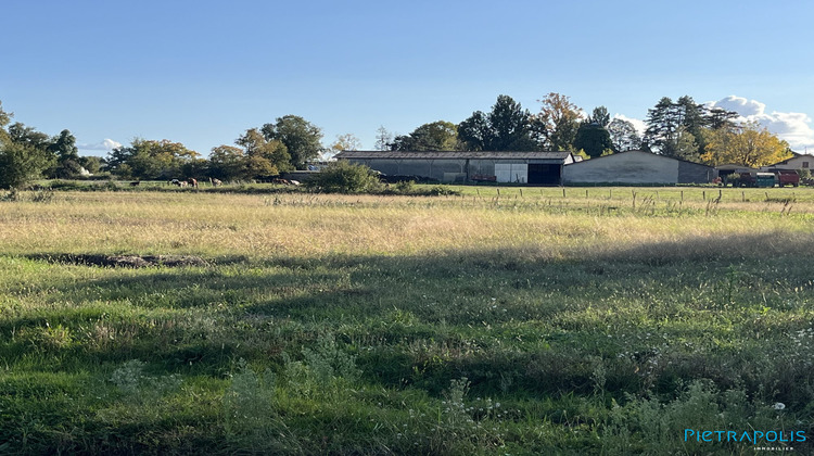 Ma-Cabane - Vente Terrain Marlieux, 1600 m²