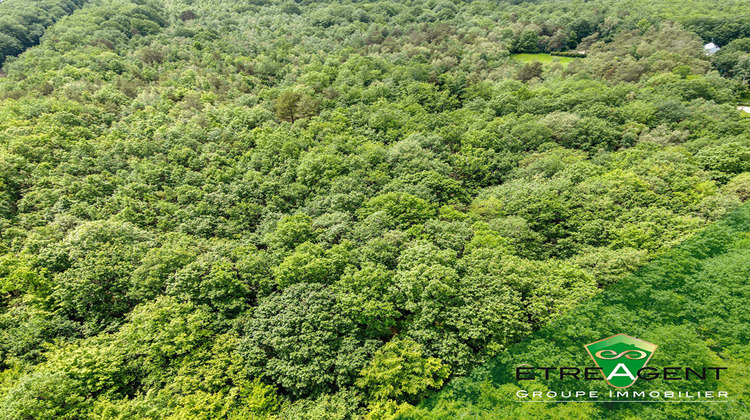 Ma-Cabane - Vente Terrain MAROLLES-EN-HUREPOIX, 114828 m²