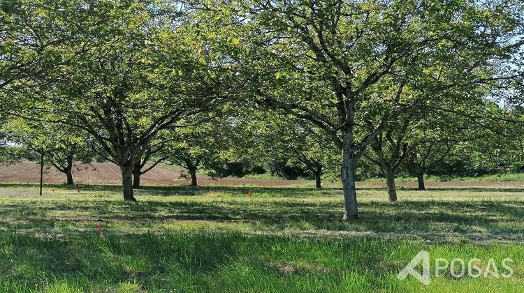 Ma-Cabane - Vente Terrain MARTEL, 1148 m²