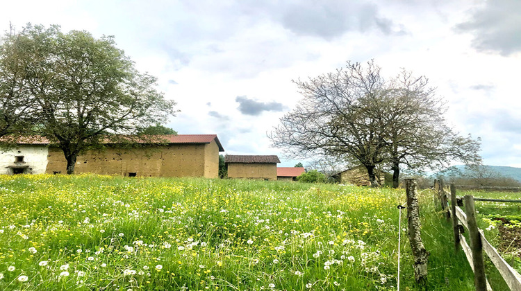 Ma-Cabane - Vente Terrain MASSIEU, 836 m²