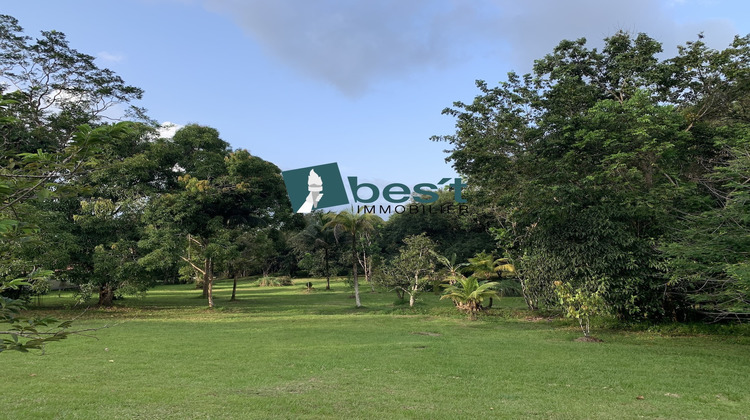 Ma-Cabane - Vente Terrain Matoury, 10000 m²