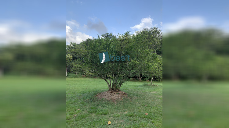 Ma-Cabane - Vente Terrain Matoury, 10000 m²