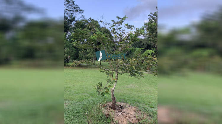 Ma-Cabane - Vente Terrain Matoury, 10000 m²