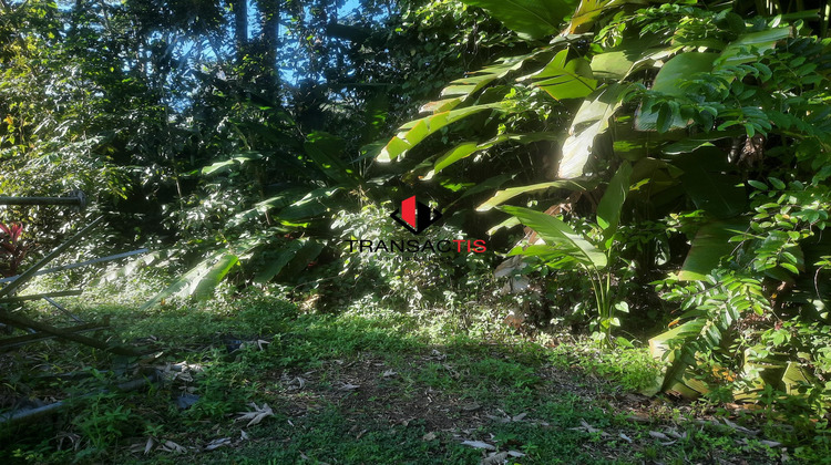 Ma-Cabane - Vente Terrain Matoury, 1800 m²