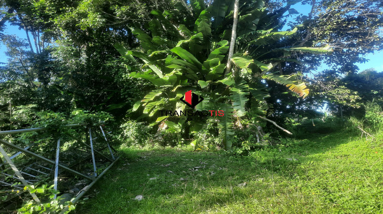 Ma-Cabane - Vente Terrain Matoury, 1800 m²