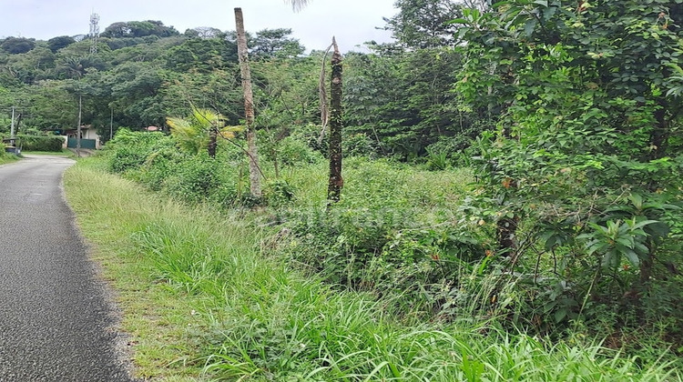 Ma-Cabane - Vente Terrain MATOURY, 3444 m²