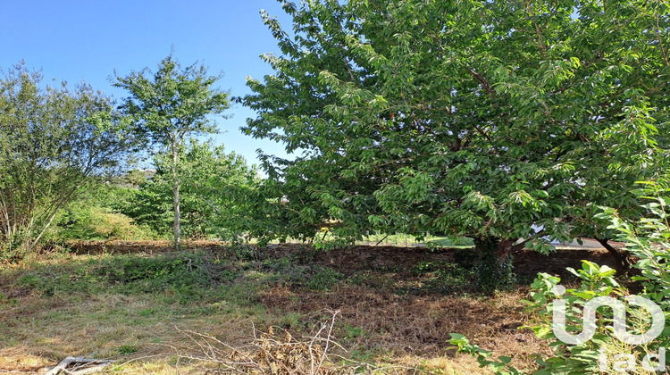 Ma-Cabane - Vente Terrain Mauges-sur-Loire, 255 m²