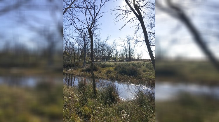 Ma-Cabane - Vente Terrain Mauguio, 1488 m²