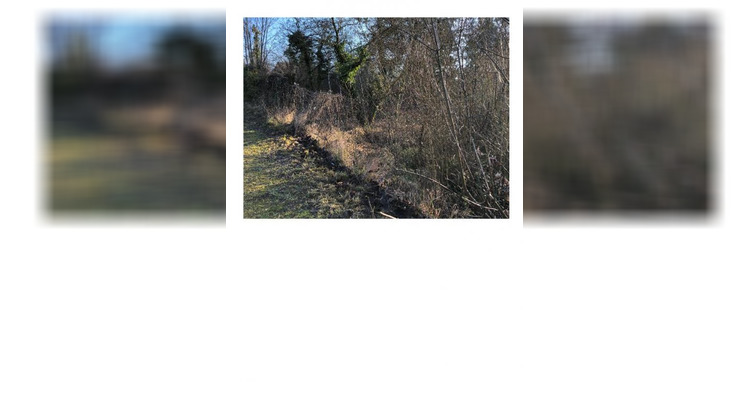 Ma-Cabane - Vente Terrain MAULE, 500 m²