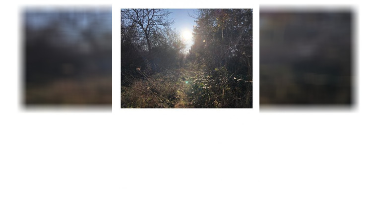 Ma-Cabane - Vente Terrain MAULE, 500 m²