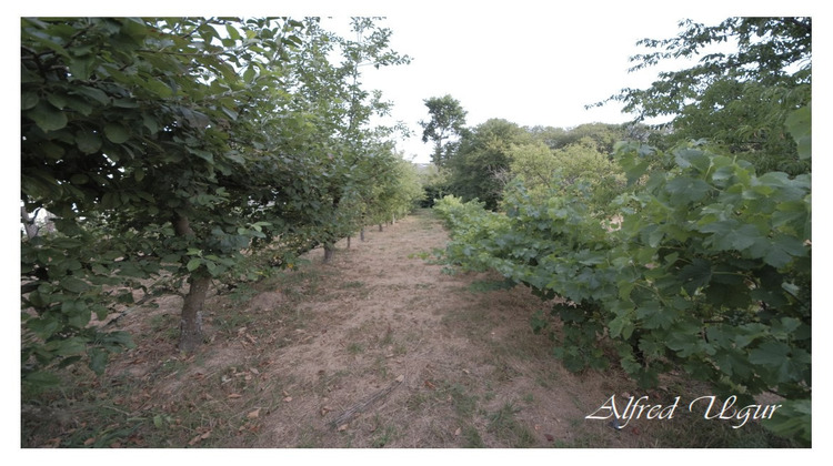 Ma-Cabane - Vente Terrain MAURE DE BRETAGNE, 1560 m²