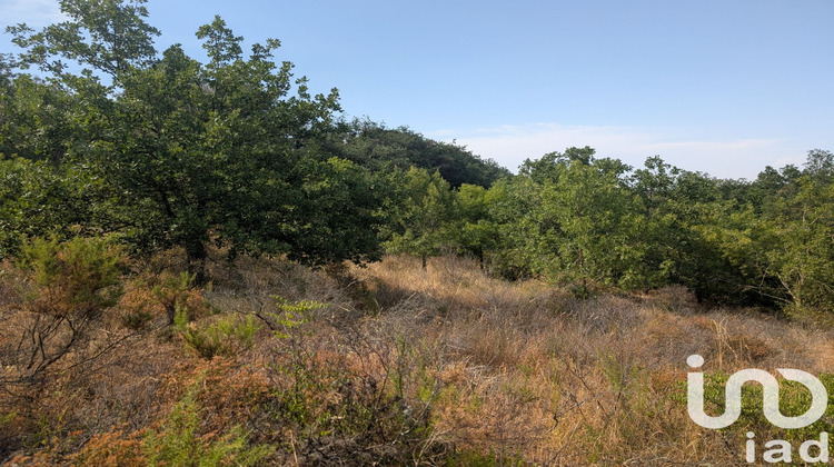 Ma-Cabane - Vente Terrain Maureillas-Las-Illas, 6500 m²