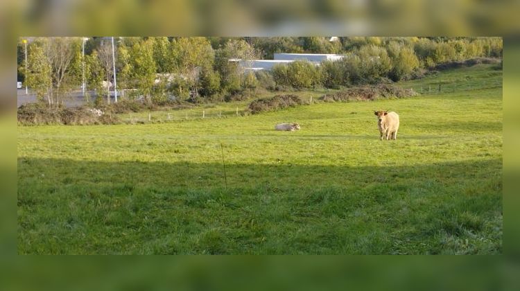 Ma-Cabane - Vente Terrain Mauriac, 10000 m²