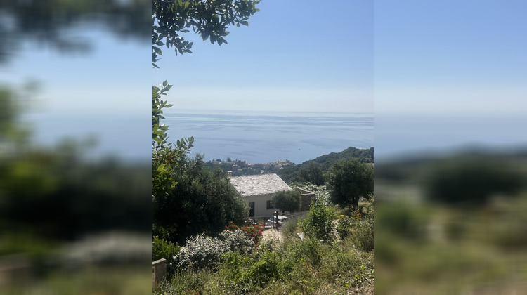 Ma-Cabane - Vente Terrain Mausoléo, 1168 m²