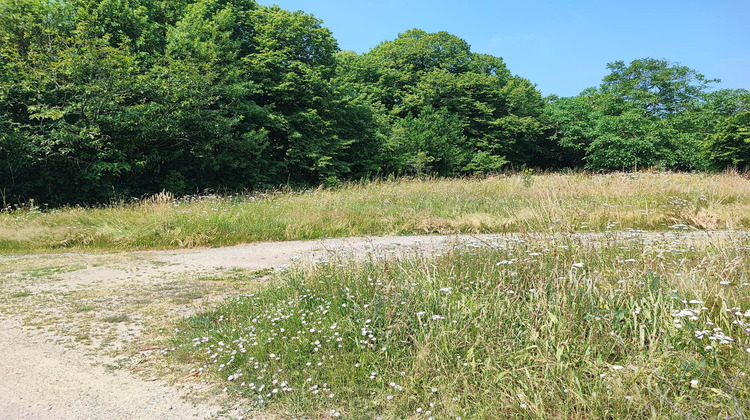 Ma-Cabane - Vente Terrain Mauves-sur-Loire, 580 m²