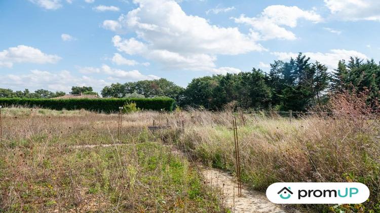 Ma-Cabane - Vente Terrain Mauvezin, 2485 m²