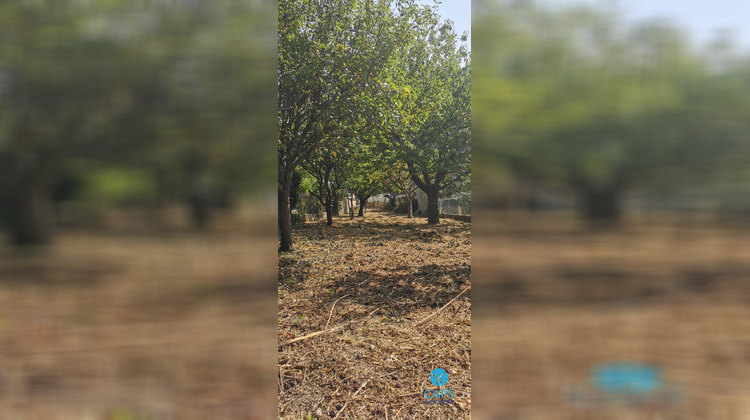 Ma-Cabane - Vente Terrain Mazamet, 460 m²