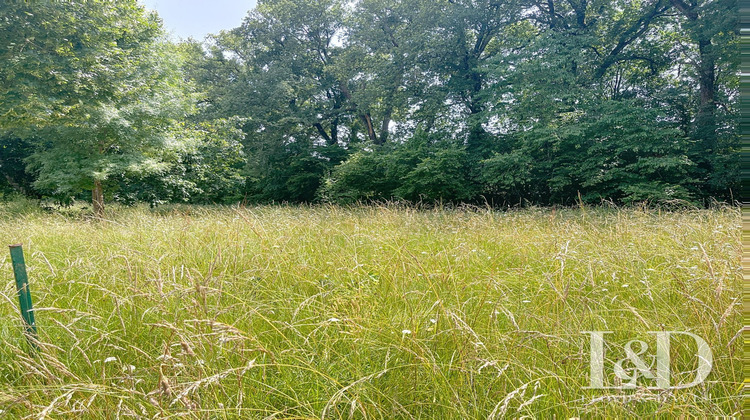 Ma-Cabane - Vente Terrain Médis, 3223 m²