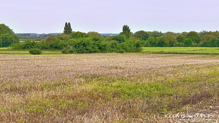 Ma-Cabane - Vente Terrain Médis, 1513 m²