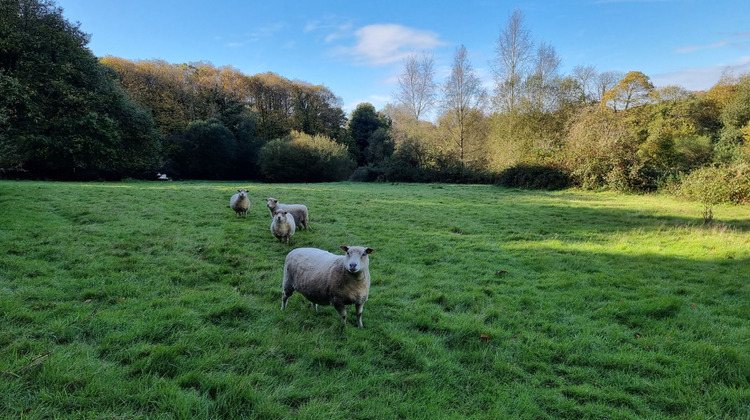 Ma-Cabane - Vente Terrain MENEAC, 12583 m²