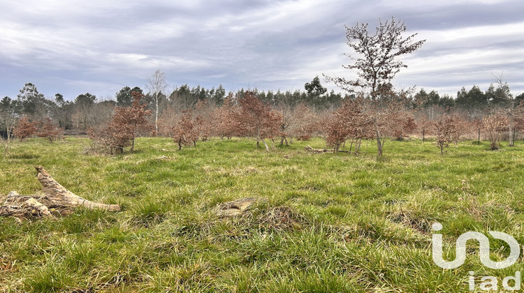 Ma-Cabane - Vente Terrain Ménesplet, 2707 m²