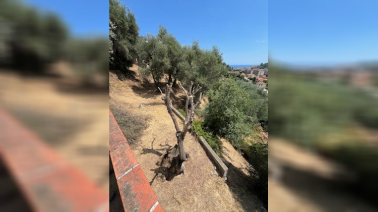 Ma-Cabane - Vente Terrain Menton, 6846 m²