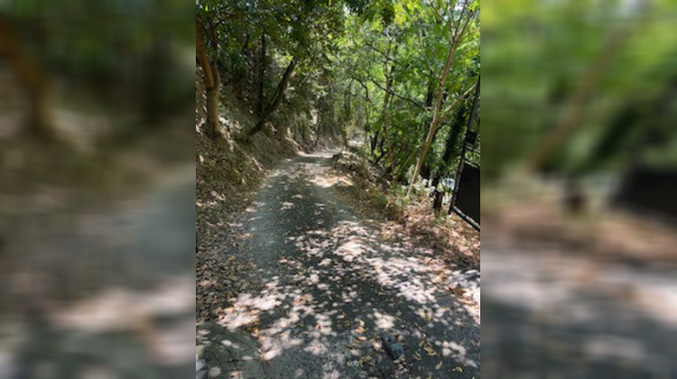 Ma-Cabane - Vente Terrain Menton, 6846 m²