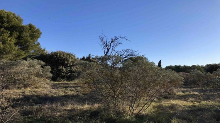 Ma-Cabane - Vente Terrain Mérindol, 790 m²