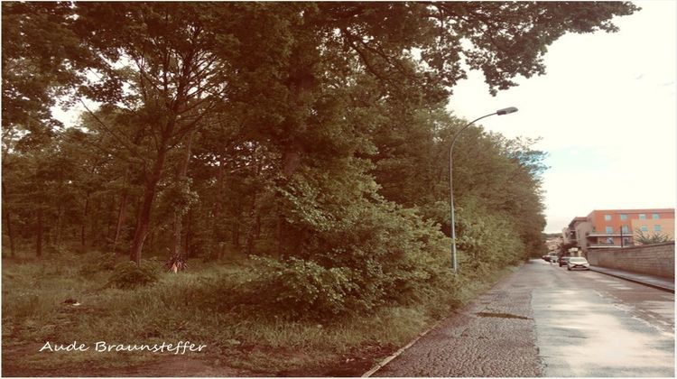 Ma-Cabane - Vente Terrain MERY SUR OISE, 115000 m²