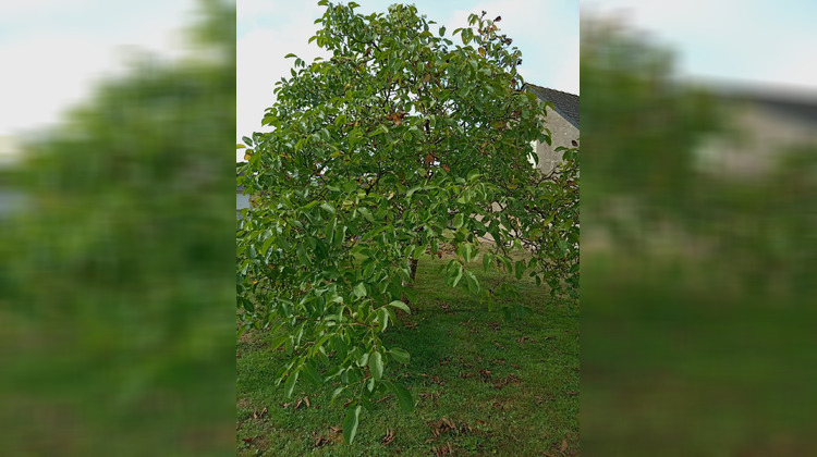 Ma-Cabane - Vente Terrain Mésanger, 62 m²