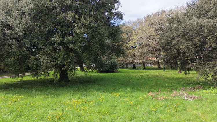 Ma-Cabane - Vente Terrain MESCHERS-SUR-GIRONDE, 5674 m²