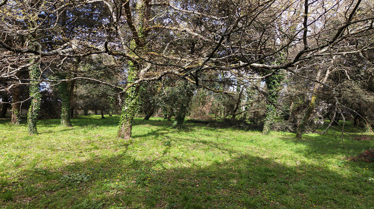 Ma-Cabane - Vente Terrain MESCHERS-SUR-GIRONDE, 5674 m²