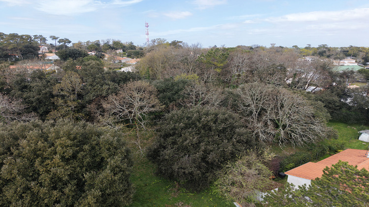 Ma-Cabane - Vente Terrain MESCHERS-SUR-GIRONDE, 5674 m²