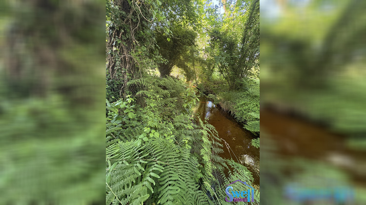 Ma-Cabane - Vente Terrain Messanges, 1041 m²