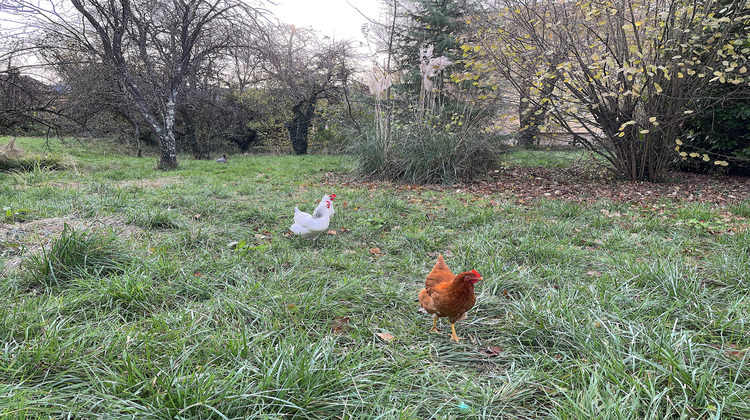 Ma-Cabane - Vente Terrain Messery, 2146 m²