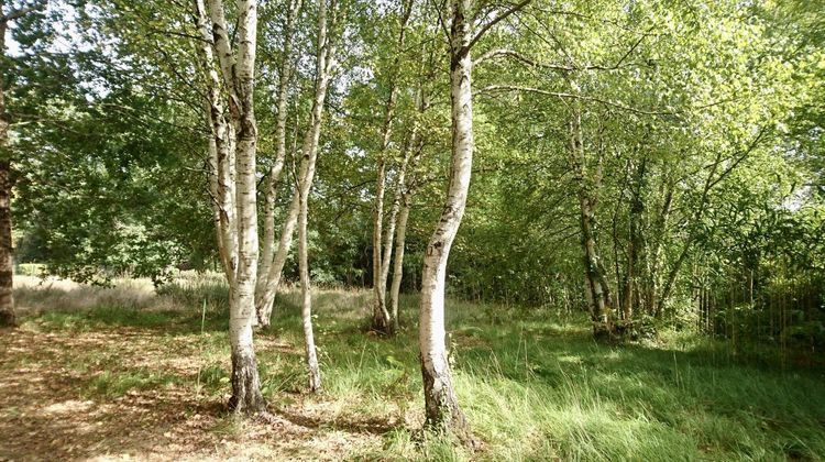 Ma-Cabane - Vente Terrain Mézos, 1560 m²