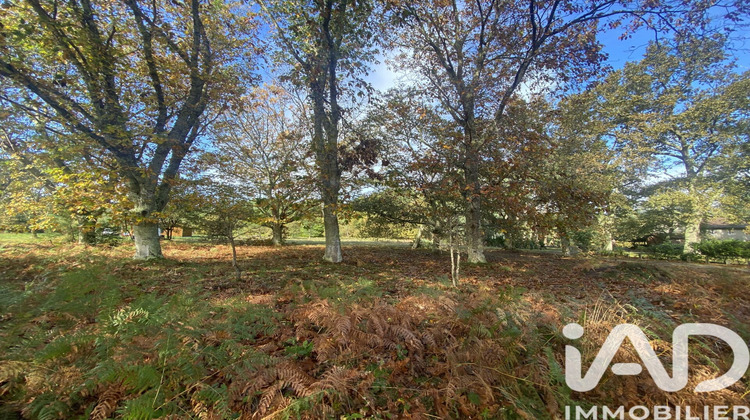 Ma-Cabane - Vente Terrain Mezos, 3893 m²