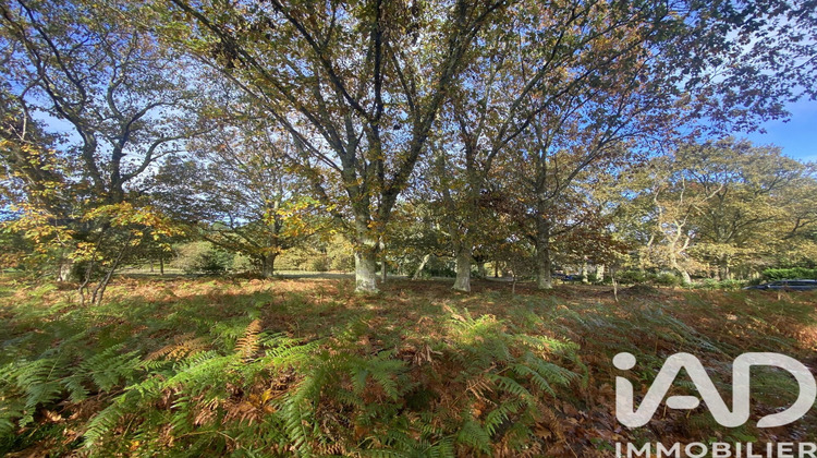 Ma-Cabane - Vente Terrain Mezos, 3893 m²