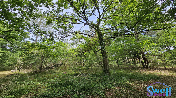 Ma-Cabane - Vente Terrain Mézos, 1600 m²