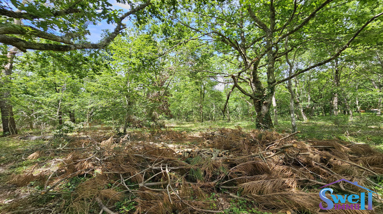 Ma-Cabane - Vente Terrain Mézos, 1600 m²