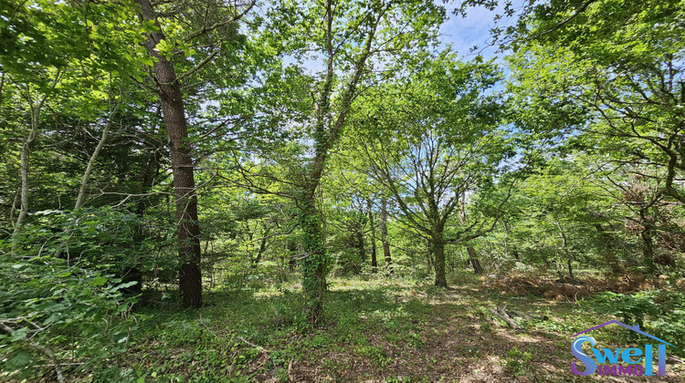 Ma-Cabane - Vente Terrain Mézos, 1600 m²