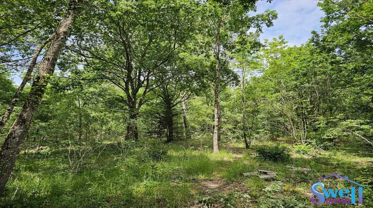 Ma-Cabane - Vente Terrain Mézos, 1600 m²